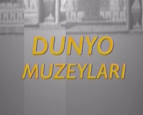 Dunyo muzeylari