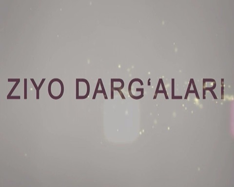 Ziyo darg`alari